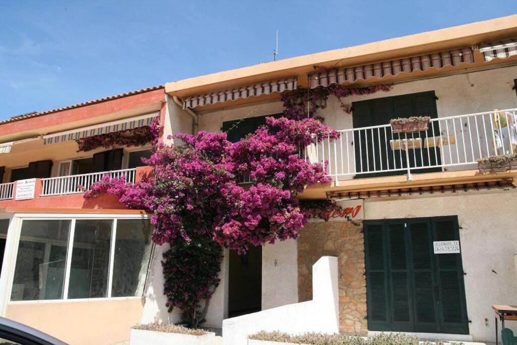 Appart Hyeres-Presqu'Ile De Giens-La Capte Exterior photo